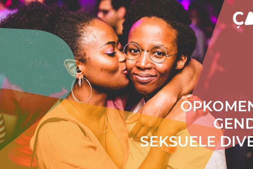 çavaria: opkomen voor gender- en seksuele diversiteit