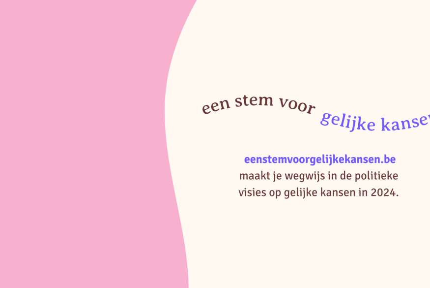 eenstemvoorgelijkekansen.be maakt je wegwijs in de politieke visies op gelijke kansen in 2024.