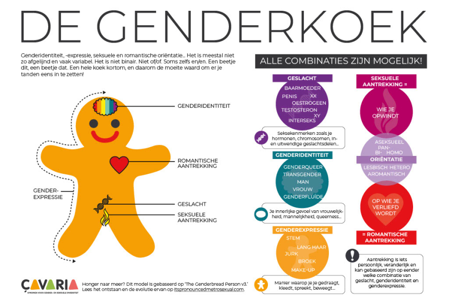 Afbeelding van de voorkant van de genderkoek met alle bijhorende info