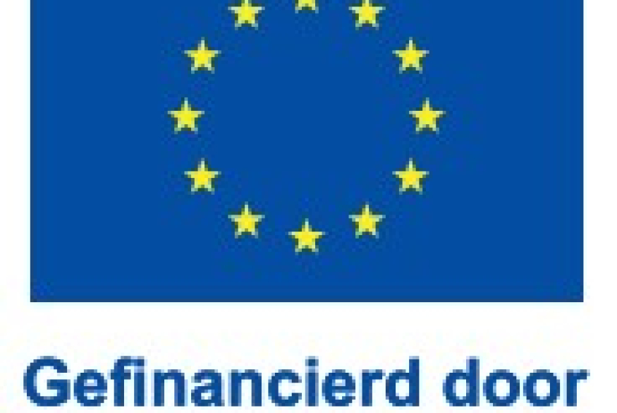 Logo Europese Unie met tekst 'Gefinancierd door de Europese Unie'
