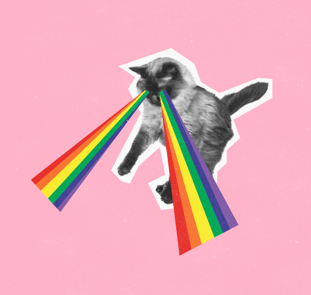 2026_projectmedewerker50jaar 2026_projectmedewerker50jaar