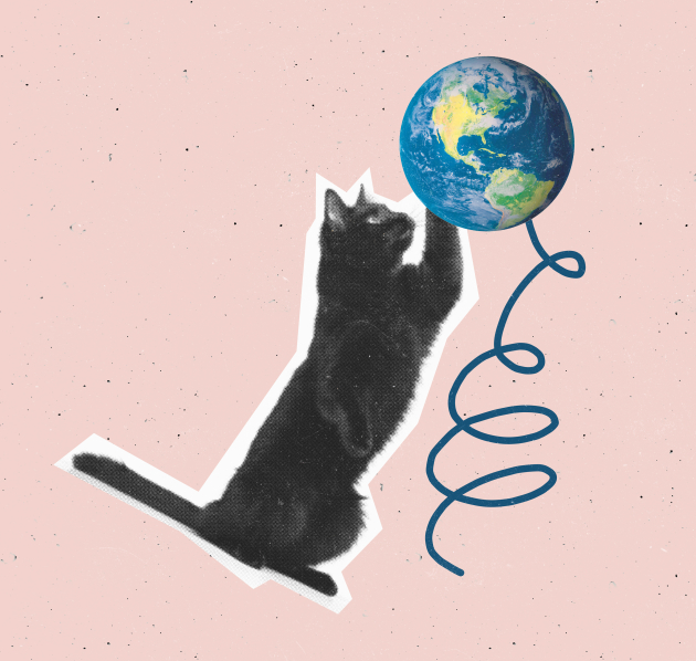 Fotocollage van Zwarte kat die speelt met een kleine wereldbol