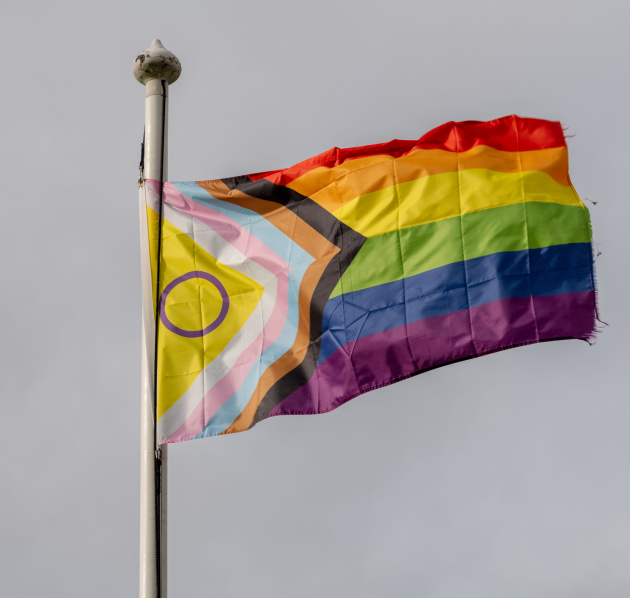 intersex progress pride vlag wapperend op een stok