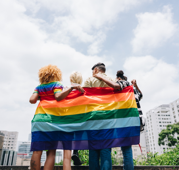 Verschillende mensen staan op een rij met de regenboogvlag rond hen gewikkeld