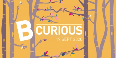 B Curious 2020 afbeelding bomen met bi+ en pan kleurige blaadjes