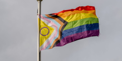 intersex progress pride vlag wapperend op een stok