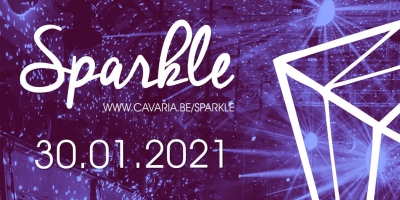 sparkle save the date