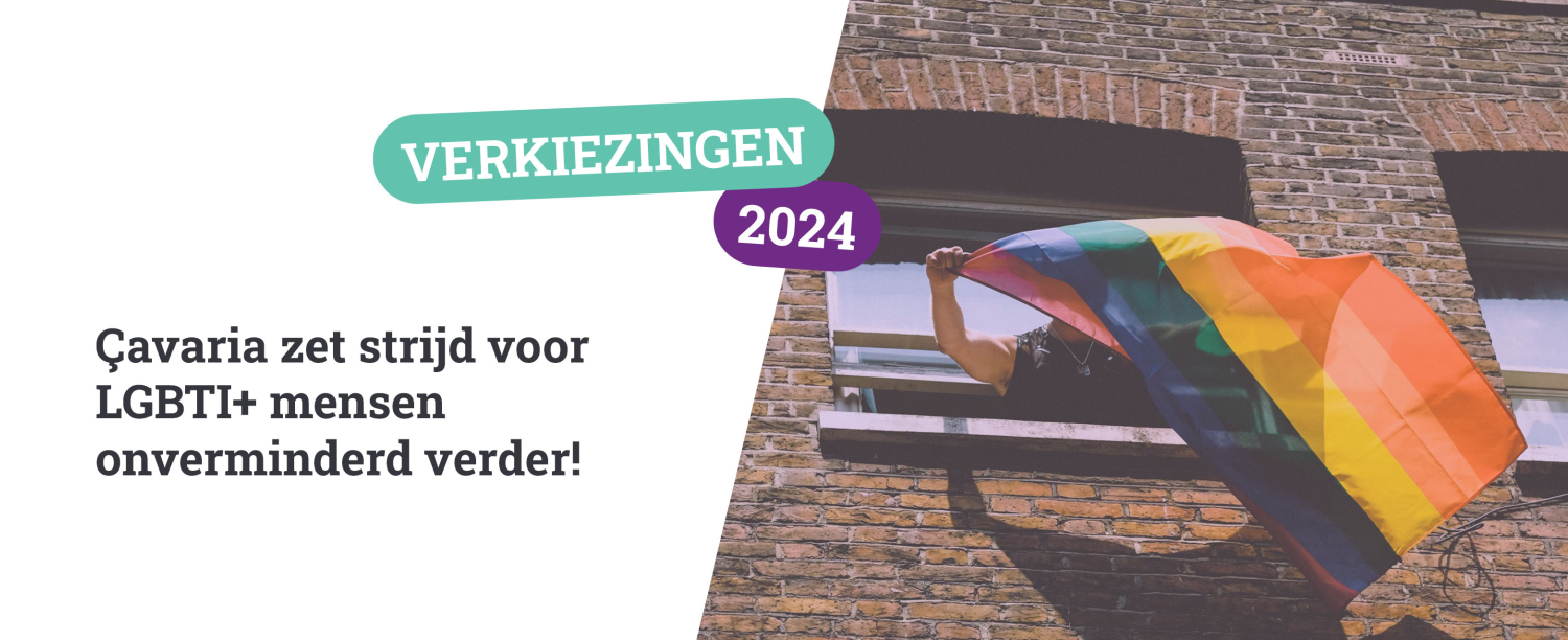 Verkiezingen 2024: çavaria zet strijd voor LGBTI+ mensen onverminderd verder!