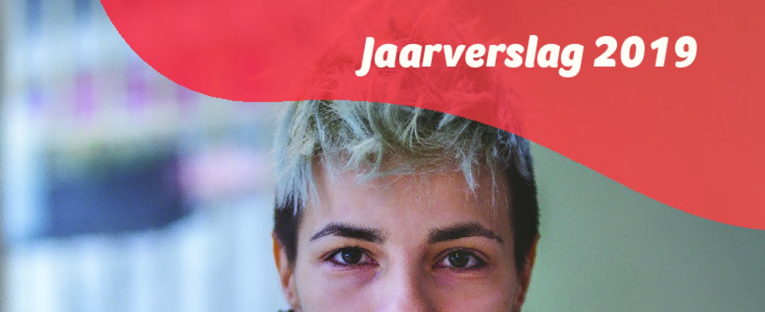 Cover jaarverslag lumi 2019