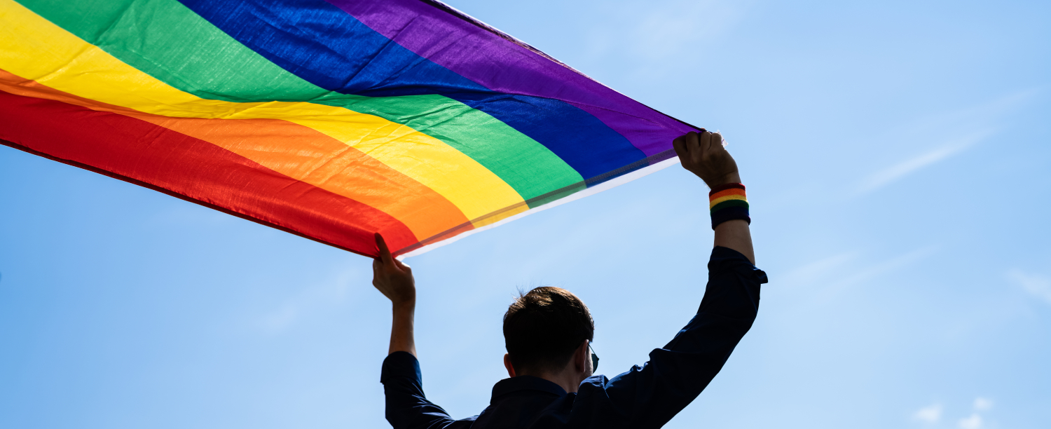 Persoon met regenboogvlag in handen