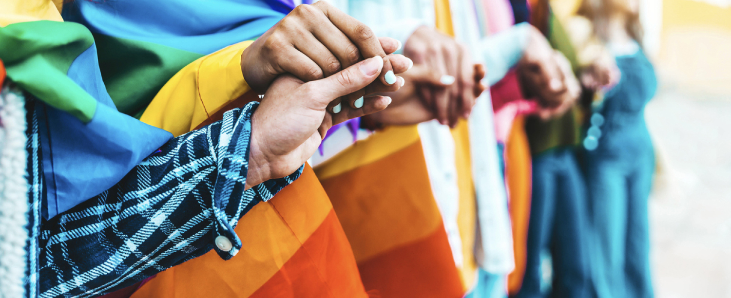 Groep mensen met pride vlaggen die handen vasthouden