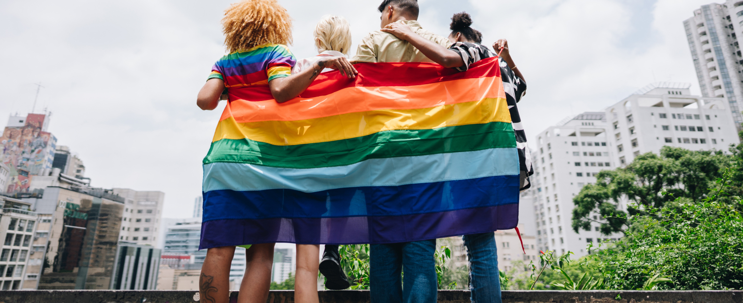 Verschillende mensen staan op een rij met de regenboogvlag rond hen gewikkeld