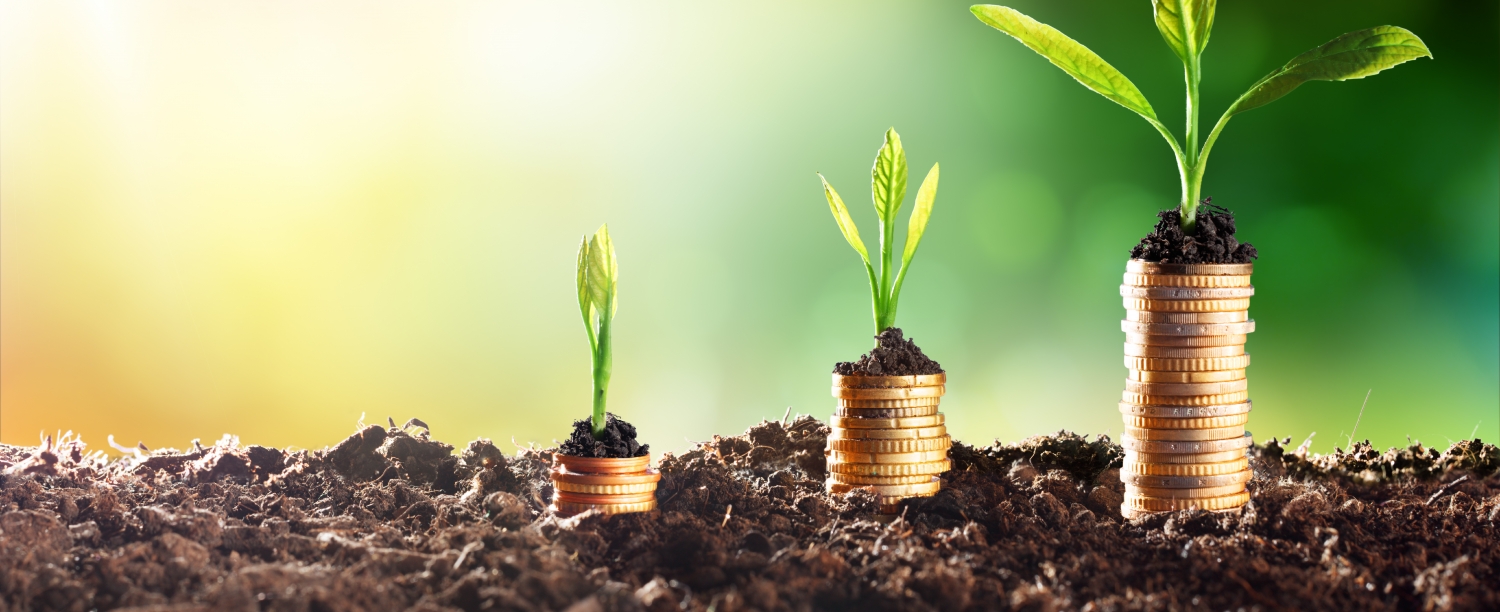fund stapels van euro's met plantjes op