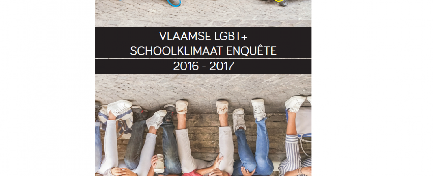 Vlaamse LGBT+ schoolklimaatenquête